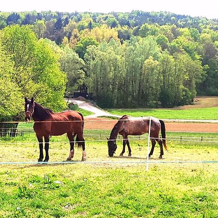 Apartma Kapelski Fant Sveti Jurij ob Scavnici Exteriér fotografie
