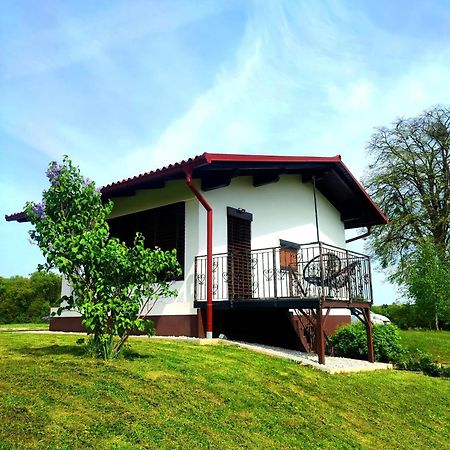 Apartma Kapelski Fant Sveti Jurij ob Scavnici Exteriér fotografie