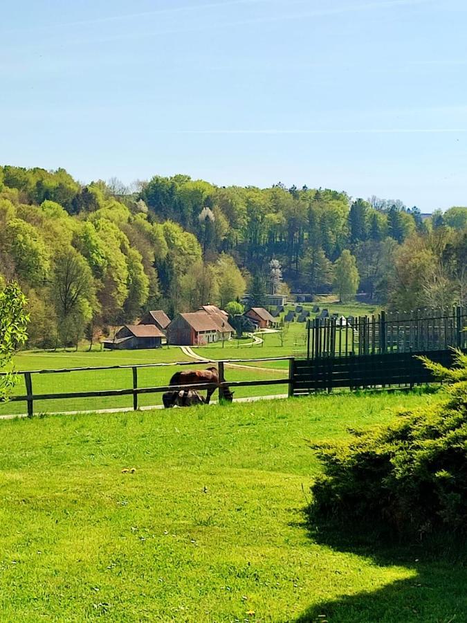 Apartma Kapelski Fant Sveti Jurij ob Scavnici Exteriér fotografie