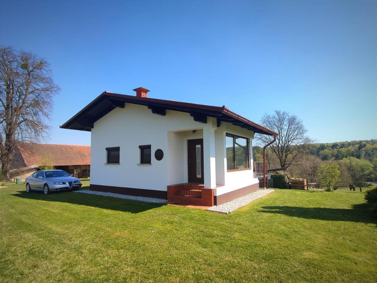 Apartma Kapelski Fant Sveti Jurij ob Scavnici Exteriér fotografie